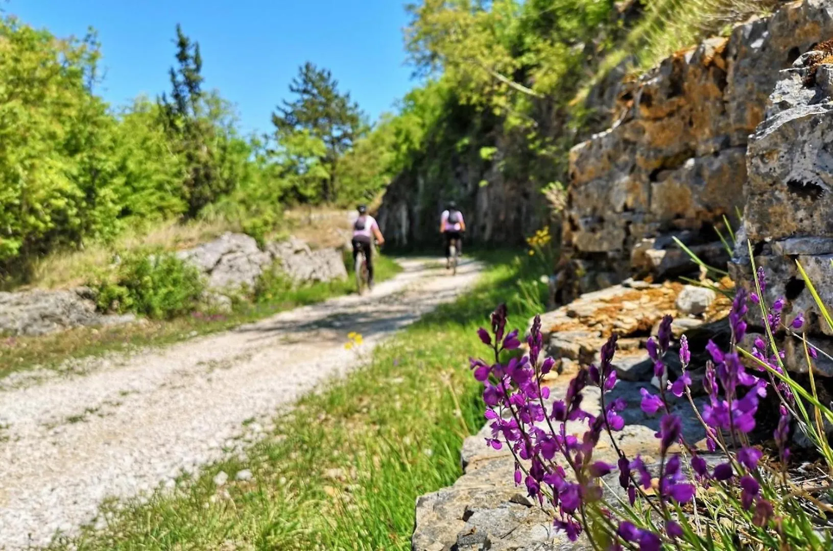 Villa Faro - New House, Near Beaches, Heated Pool, Playroom, Bbq, Salvore - Istria