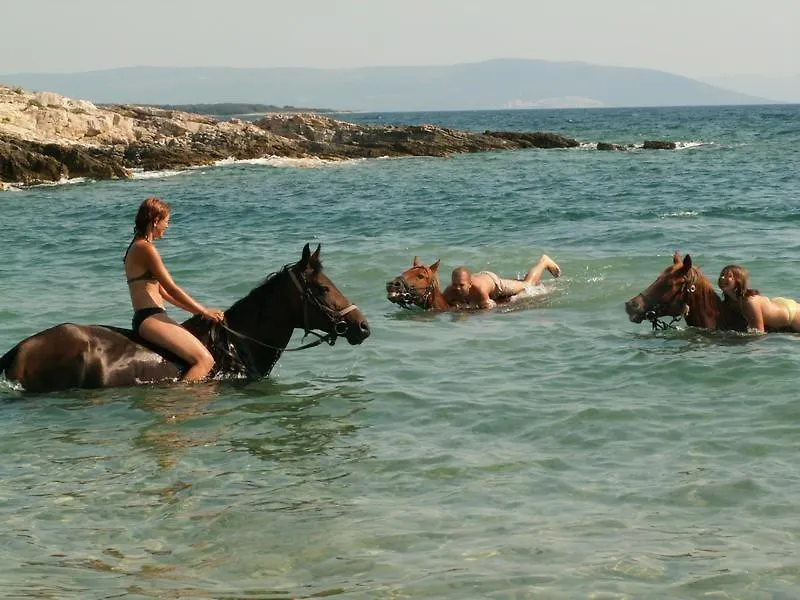 Villa Faro - New House, Near Beaches, Heated Pool, Playroom, Bbq, Salvore - Istria  Basanija