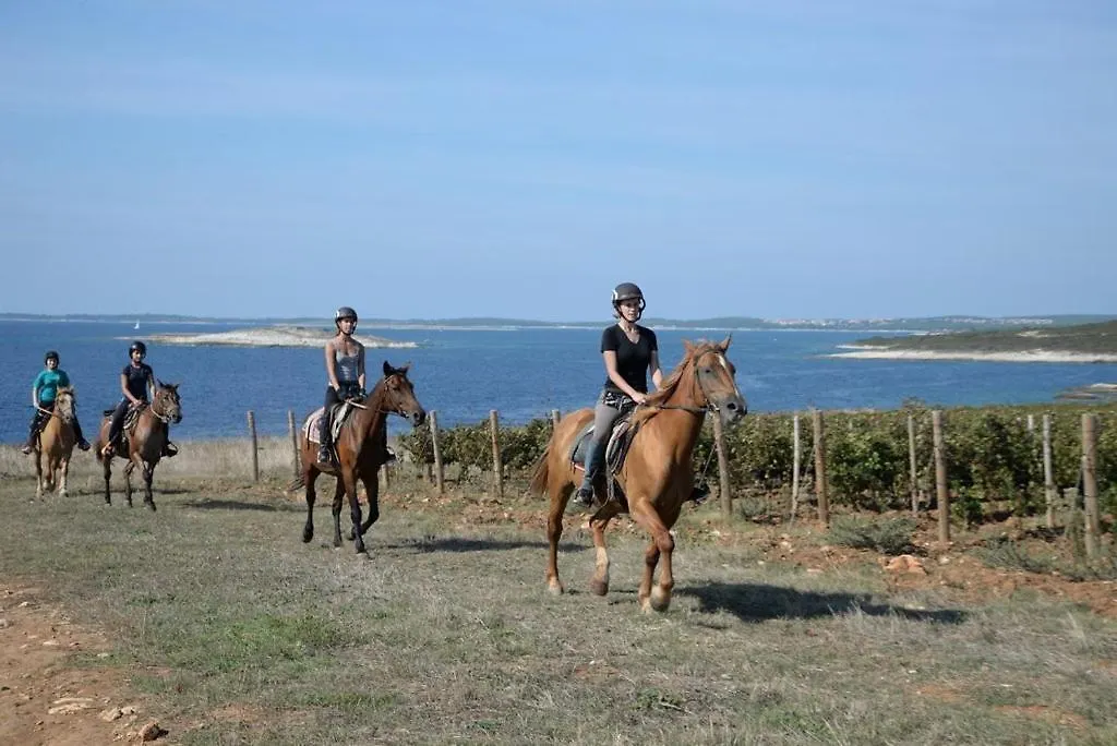 Villa Faro - New House, Near Beaches, Heated Pool, Playroom, Bbq, Salvore - Istria